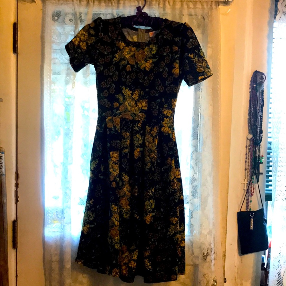 LulaRoe xs dress